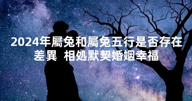 2024年屬兔和屬兔五行是否存在差異  相処默契婚姻幸福